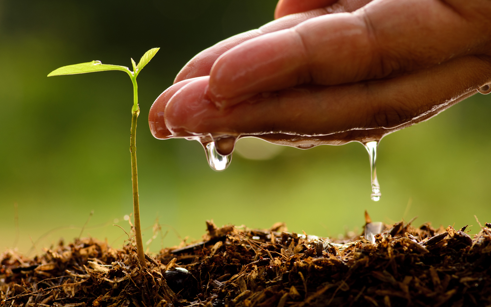 ORGANOMİNERAL GÜBRELER